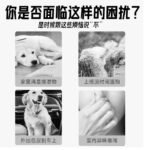 定點狗狗尿墊加厚一次性尿不溼隔尿墊除臭吸水小狗引導上廁所 1