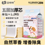 【店鋪熱銷】貓狗通用寵物尿墊加大加厚款快速吸水店鋪低價促銷 3