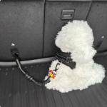 汽车狗狗安全带狗坐车神器可调节专用车载出行宠物伸缩牵引安全带 1