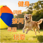 狗狗玩具球巨型遊戲球超大快樂球解悶神器自嗨互動邊牧寵物用品 2