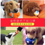狗狗玩具寵物小狗自嗨解悶神器磨牙耐咬發聲幼犬小型犬大狗橄欖球 3