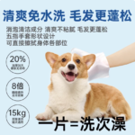 寵物免洗手套貓咪狗狗清潔乾洗溼巾神器洗澡貓貓咪專用清潔溼紙巾 4