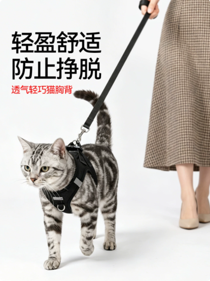 貓咪牽引繩遛貓繩幼小貓胸背緬因德文防掙脫外出專用背心式貓揹帶