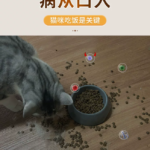 貓碗狗碗貓食盆陶瓷貓糧碗寵物喝水碗狗狗專用慢食碗貓飯碗貓飯盆 2