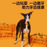 櫻桃水果植物狗狗繩結玩具中大型犬耐咬磨牙潔齒拔河啃咬玩具 1