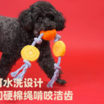 孚芮邦大橘大利狗繩結玩具發聲中小型狗訓練自嗨磨牙耐咬 4