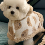 狗狗衣服秋冬保暖防著涼泰迪比熊冬天披風斗篷狗睡袍睡衣加厚毛毯 1
