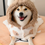 狗狗衣服秋冬保暖防著涼泰迪比熊冬天披風斗篷狗睡袍睡衣加厚毛毯 5